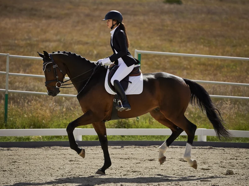 Rytter i galopovergang på en brun hest i udendørs bane